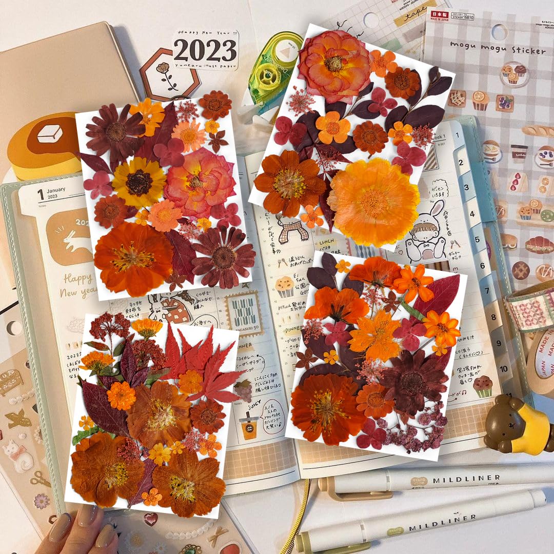 141PCS Brown Fall Dried Pressed Flowers for Resin - YouthBro Real Nature Flowers Butterfly Stikers Set for Christmas DIY Candle Soap Vase Making Nail Card Scrapbook Art Craft Floral Decors