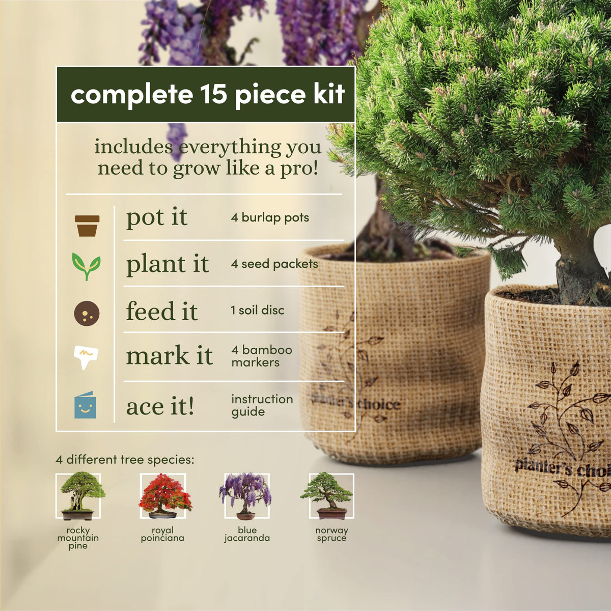 Bonsai Starter Kit - Gardening Birthday Gifts for Women & Men - Bonsai Tree Growing Garden Crafts Hobby Kits for Adults, Unique DIY Hobbies for Plant Lovers - Unusual Gifts Ideas Mom, Her, Friend