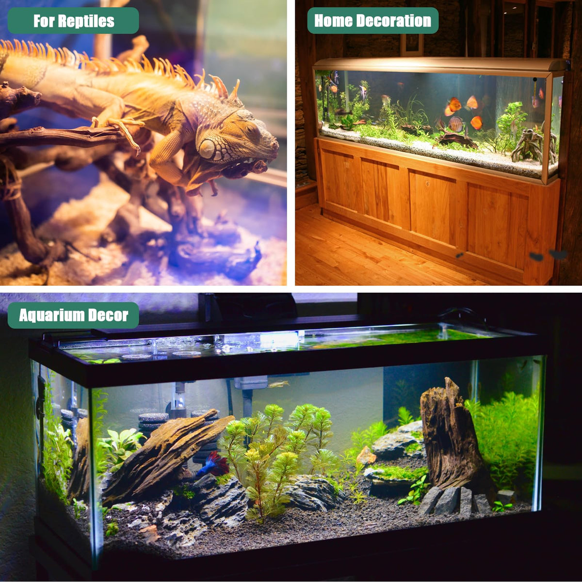 LYPHARD AQUARIUMS Driftwood for Aquarium, 2 Pieces 14-18 Inches Large Natural Drift Wood Fish Tank Assorted Branch Decorations for Reptile Hide