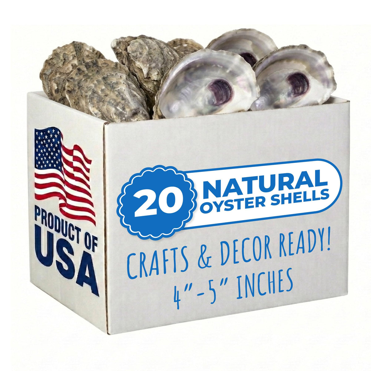 Tumbler Home Oyster Shells for Crafts, 20pcs, 4"- 5" Large Oyster Shells for Crafting, Decoupage, Christmas Ornaments, Wreaths, Weddings, Beach Décor, DIY Arts & Crafts. Bulk. Farmed in USA