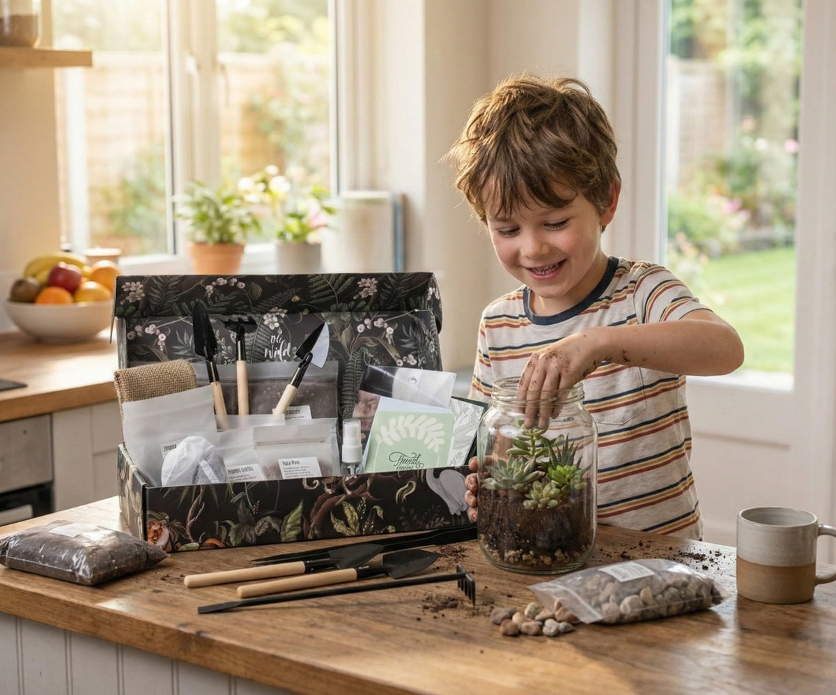 DIY Terrarium Kit | Pebbles Sphagnum Moss Activated Carbon Burlap Peat Moss Tools | Terrarium Supplies (Advanced)